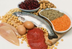 Food Rich in Protein